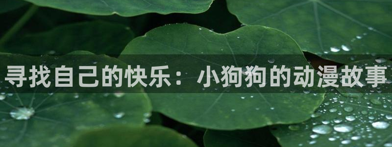 囧次元动漫app：寻找自己的快乐：小狗狗的动漫故事