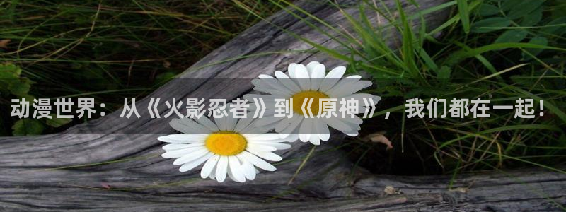 囧次元网页版：动漫世界：从《火影忍者》到《原神》，我们都在一起！