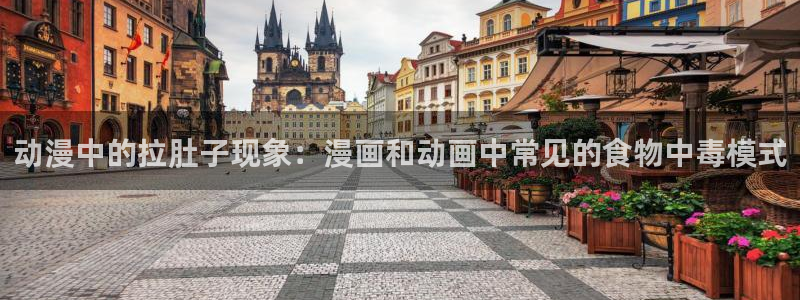 囧次元 翻译