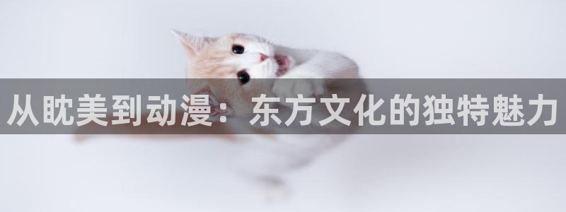 囧次元软件下载：从眈美到动漫：东方文化的独特魅力
