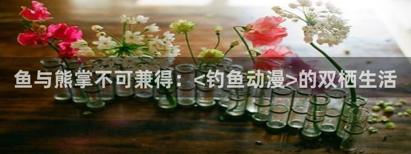 囧次元囧次元