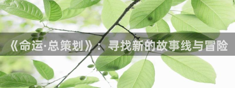 囧次元正版官方下载：《命运·总策划》：寻找新的故事线与冒险