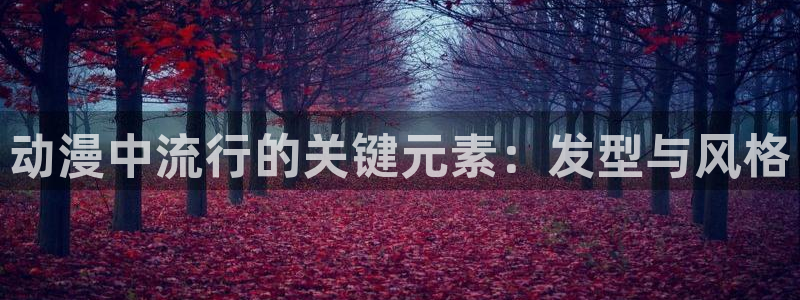 囧次元下载最新：动漫中流行的关键元素：发型与风格